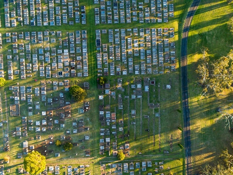 Overhead top down view of neat rows of graves in cemetery from aerial view