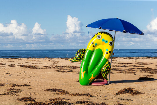 Beach, Budgie and Blue Brollie