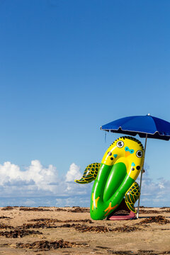 Beach, Budgie and Blue Brollie