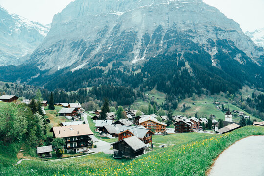 スイスのグリンデルワルドの風景とラマ