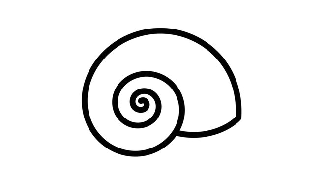 Outline of a snail shell spiral design isolated on a white background