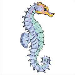 Fototapeta premium Bright and colorful seahorse vector illustration isolated on white background. Flat design for coral reef theme. Print on stickers, cards, postcards. Beautiful combination of colors. Detailed.