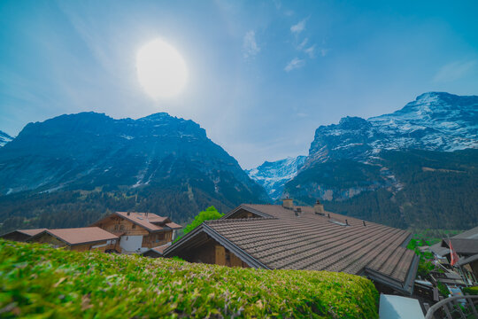 スイスのグリンデルワルドの風景とラマ