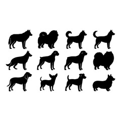 Obraz premium Vector set of different dog breed silhouette isolated on white background. American puppy or pet animal clip art. Wild dog doodle sketch or line art. Black dog different funny activity symbol or icon.