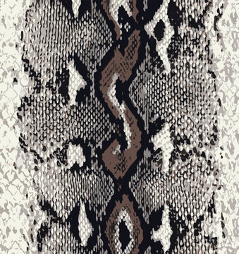 Snake skin pattern, design, funny drawing, seamless pattern. Lettering poster  t shirt textile graphic design wallpaper, wrapping paper.
