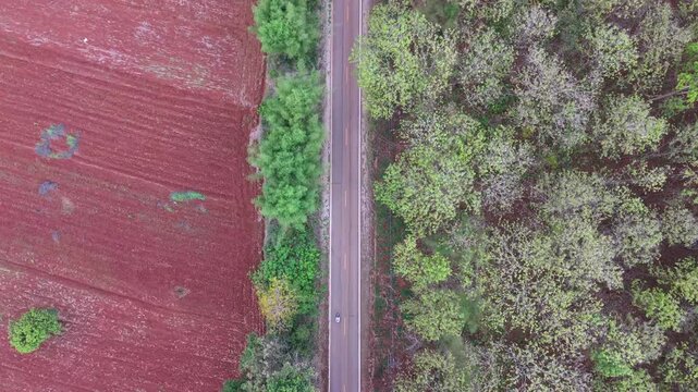 A cinematic top-down aerial drone view capturing a straight rural road slicing through a contrasting landscape, featuring vibrant red soil agricultural fields on one side and a dense, lush green fores