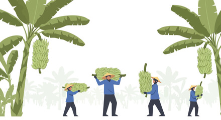 Banana Plantation Workers Harvesting Ripe Fruit Bunches © winn