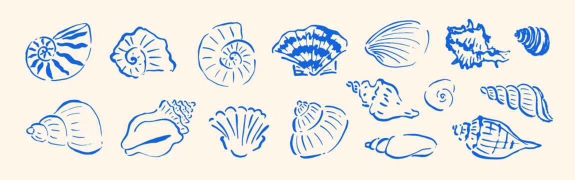Hand drawn seashells set. Different sea shells. Naive cute sea summer design elements, icons. Coastal blue beach theme.