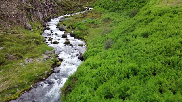 Push in Shot on a river in North Iceland