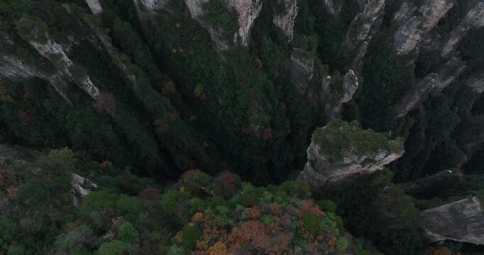 Beautiful landscape in Zhangjiajie National Forest Park, China