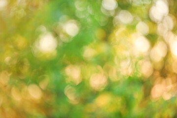 Fototapeta premium Blurred view of color background. Bokeh effect