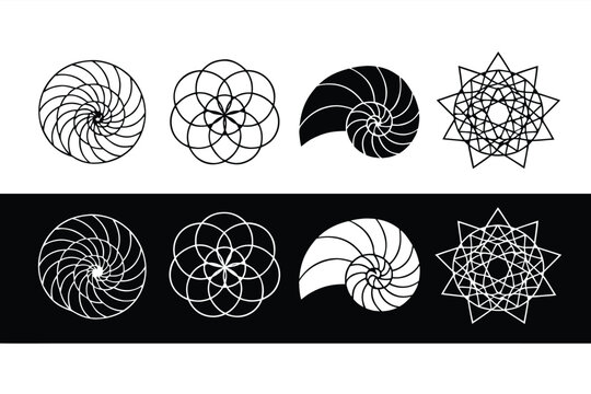 Abstract Geometric Mandala Vector Set featuring Spiral Fibonacci Patterns, Sacred Geometry Radial Seed of Life Designs, and Nautilus Shell Icons in Minimalist Black and White Line Art Style.