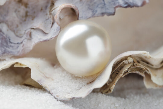 Oyster shell with pearl on sand, closeup