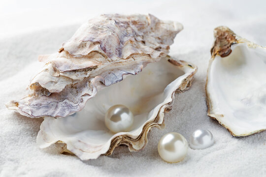 Oyster shell with pearls on sand, closeup