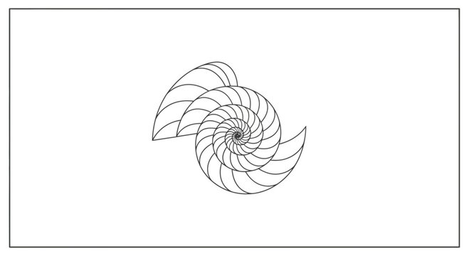 Nautilus Shell Spiral Fibonacci Sequence Abstract Geometric Pattern