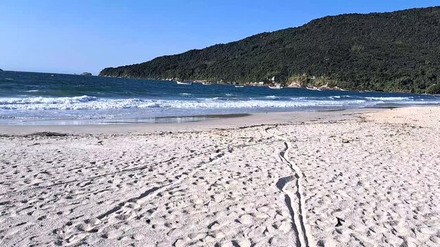 praia no norte da ilha de Florian&oacute;polis