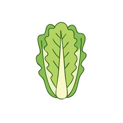Fototapeta premium Fresh green lettuce leaf vegetable ingredient for healthy food and salads