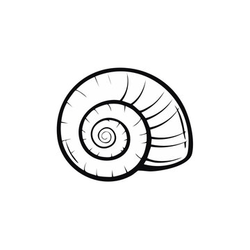 Simple Line Art Drawing of a Swirling Snail Shell Spiral Shape