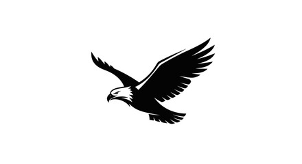 Obraz premium Eagle bird of prey flying silhouette isolated on white