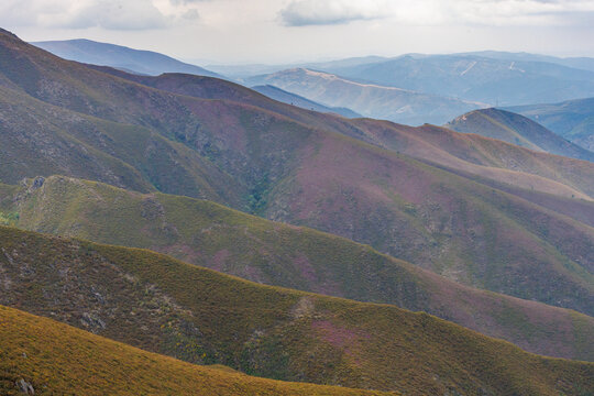 Panoramic spring mountain view in Serra da Arada Portugal with blooming heather flowers