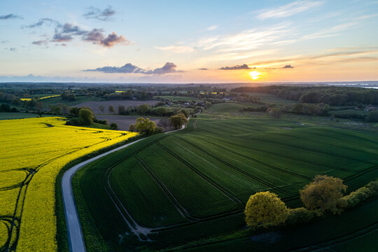 Aerial view of the Freienwillen estate area featuring vibrant yellow rapeseed fields and lush green meadows under a golden sunset sky in Langballig, Schleswig-Holstein, Germany.