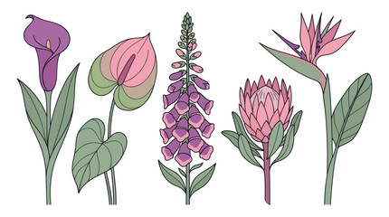 Exotic and Garden Flower Vector Illustration Set © Dodol Creative Stock