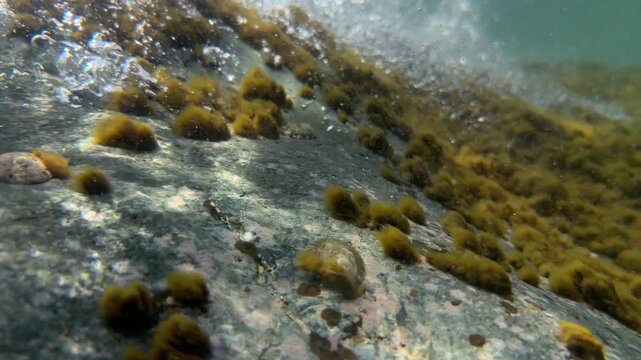 Underwater tidal wave moves above a rock creating air bubbles beneath the ocean surface near rocks. Ocean energy.
