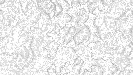Topographic contour map. Topography and geography map grid abstract backdrop. Business concept. © Mst