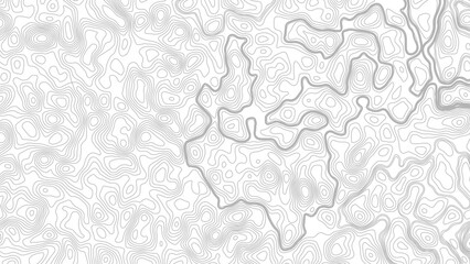 Abstract Topographic Minimal Contour Map Line Seamless Pattern. Topographic contour map. Topography and geography map grid  © Mst