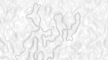 Abstract Topographic Minimal Contour Map Line Seamless Pattern. Topographic contour map. Topography and geography map grid  © Mst