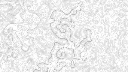 Abstract Topographic Minimal Contour Map Line Seamless Pattern. Topographic contour map. Topography and geography map grid  © Mst