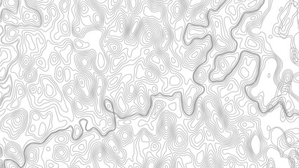 Fototapeta premium Seamless pattern with lines White wave paper curved reliefs. abstract background, Abstract topographic contours map background.