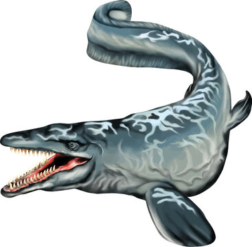 Realistic prehistoric marine reptile vector illustration with sharp teeth and fierce expression.