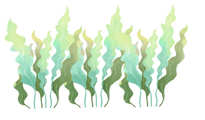 seaweed © Mek drawn