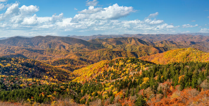 Autumn view from the Cowee Mountain Overlook on the Blue Ridge Parkway	