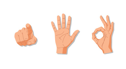 Fototapeta premium Three human hands with different gestures.