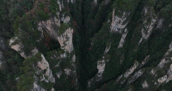 Beautiful landscape in Zhangjiajie National Forest Park, China