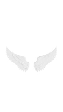 4k Resolution Vertical Video for Social Media: Pure Spiritual Concept With White Angel Wings Symbolizing Peace And Purity. Soft Detailed Feather Wings Symmetrically Seamless Looped Animated On White 