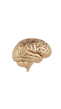 4k Resolution Vertical Video for Social Media: Luxury Intelligence And Success Concept. Golden Human Brain Anatomy Seamless Looped Rotating On White Background With Alpha Matte