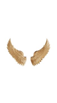 4k Resolution Vertical Video for Social Media: Freedom And Success Concept With Golden Angel Wings Symbol. Detailed Metallic Wings Spread Symmetrically Seamless Looped Animated On White Background 
