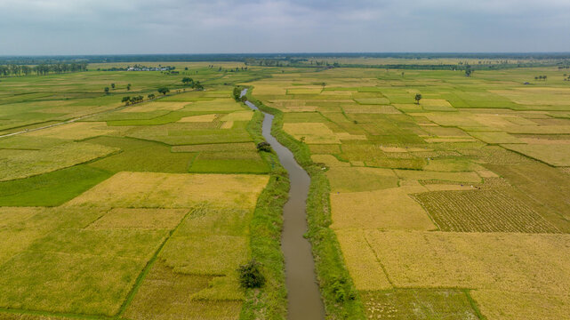 Agricultural rice fields and irrigation canal aerial view