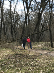 Obraz premium Spring forest on a sunny day, Poltava, 2021. Graphic silhouettes of trees, dry last year's leaves on the ground, and the first signs of nature awakening. Atmospheric wilderness landscape, soft spring 