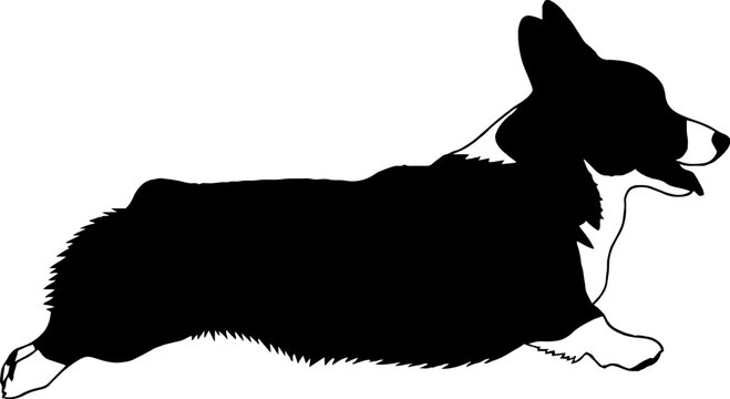 Lying pembroke welsh corgi dog silhouette