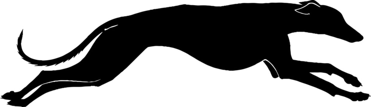 Running greyhound dog silhouette in full sprint