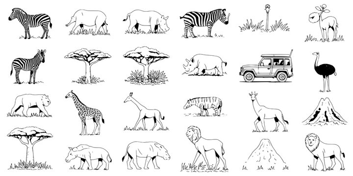 Animals sketch icon set with hand-drawn style outlines and varied wildlife silhouettes for educational posters and vector badges