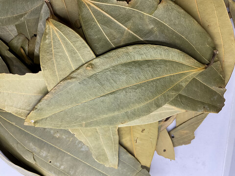 Dried Indian Bay Leaf (Tej Patta). Aromatic spice for Indian cuisine (biryani, curries, pulao), herbal medicine, and Ayurvedic wellness.