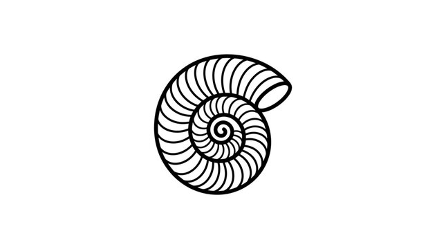 Black and white nautilus shell spiral illustration.