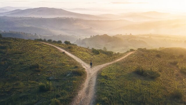 diverging. A forked road path through a natural landscape under morning light, symbolizing a choice. travel magazines, destination branding, designed for outdoor magazines and nature guides.