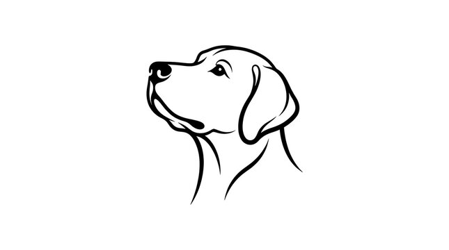 Minimalist dog head outline drawing looking up in black and white with labrador