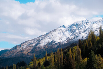 Fototapeta premium Queenstown, New Zealand: Scenic landscape view of rustic evergreen pine tree forest slopes beneath snow capped Remarkables mountain peaks.